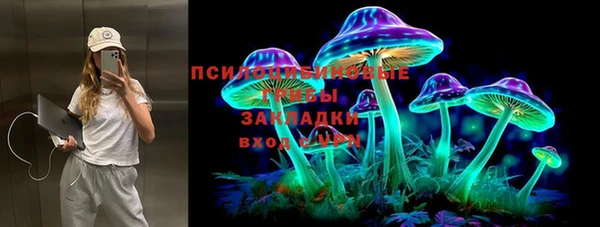 2c-b Алексин