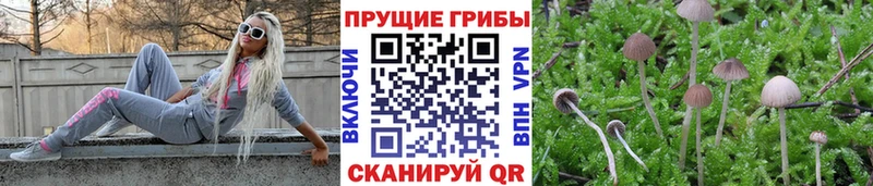Галлюциногенные грибы Magic Shrooms  Наволоки 